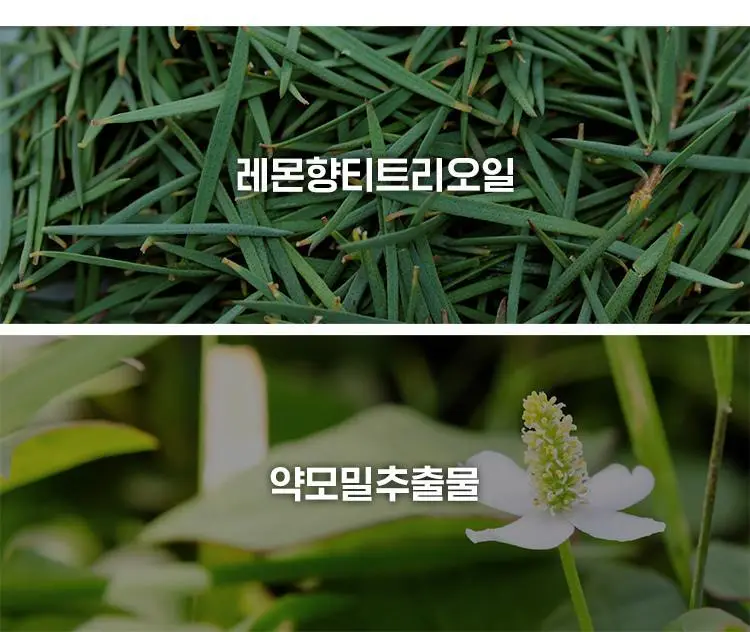 [응급진정세럼] 아이소이 아크니닥터 1st 컨트롤 세럼 40ml 기획(+응급진정패드4매) 상세페이지 12